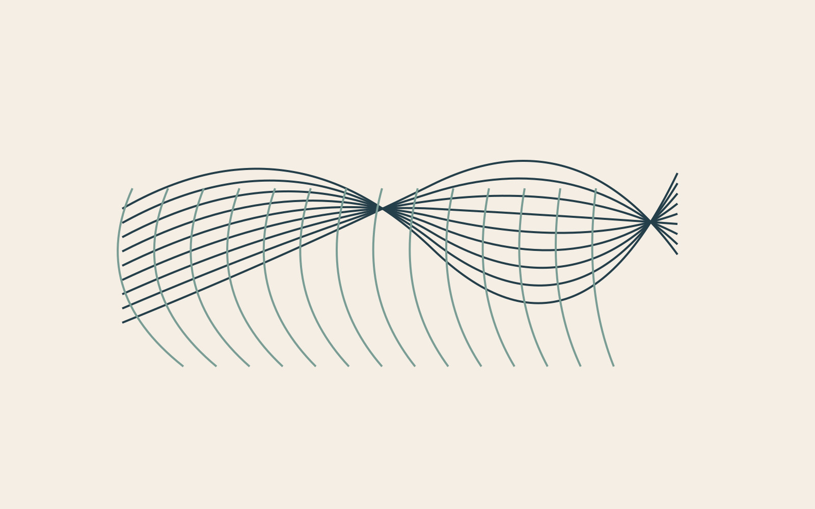 Curved lines cross to form an open network rather than a solid surface.