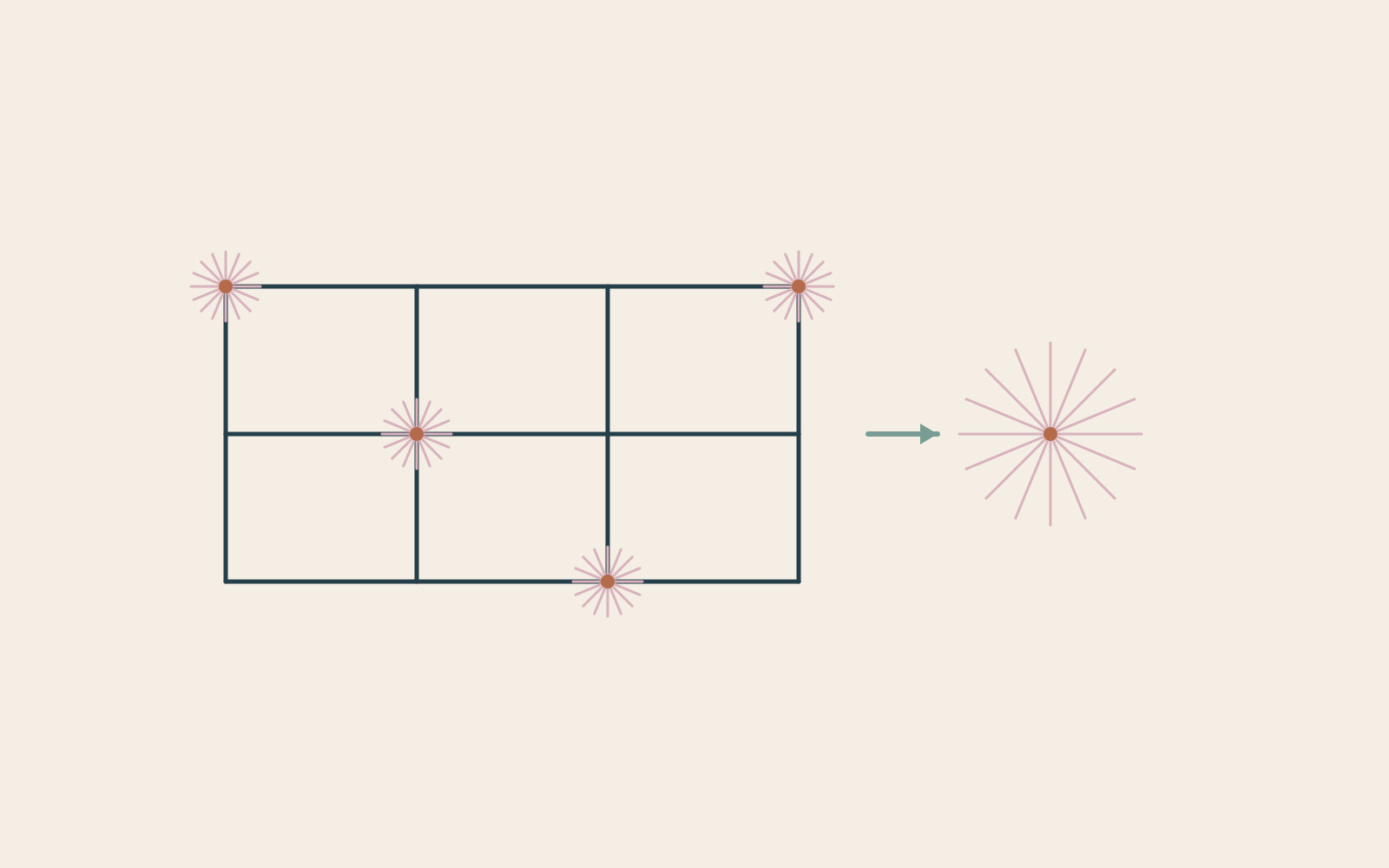 Small radiating seed-head symbols sit within a geometric grid, beside one enlarged symbol.