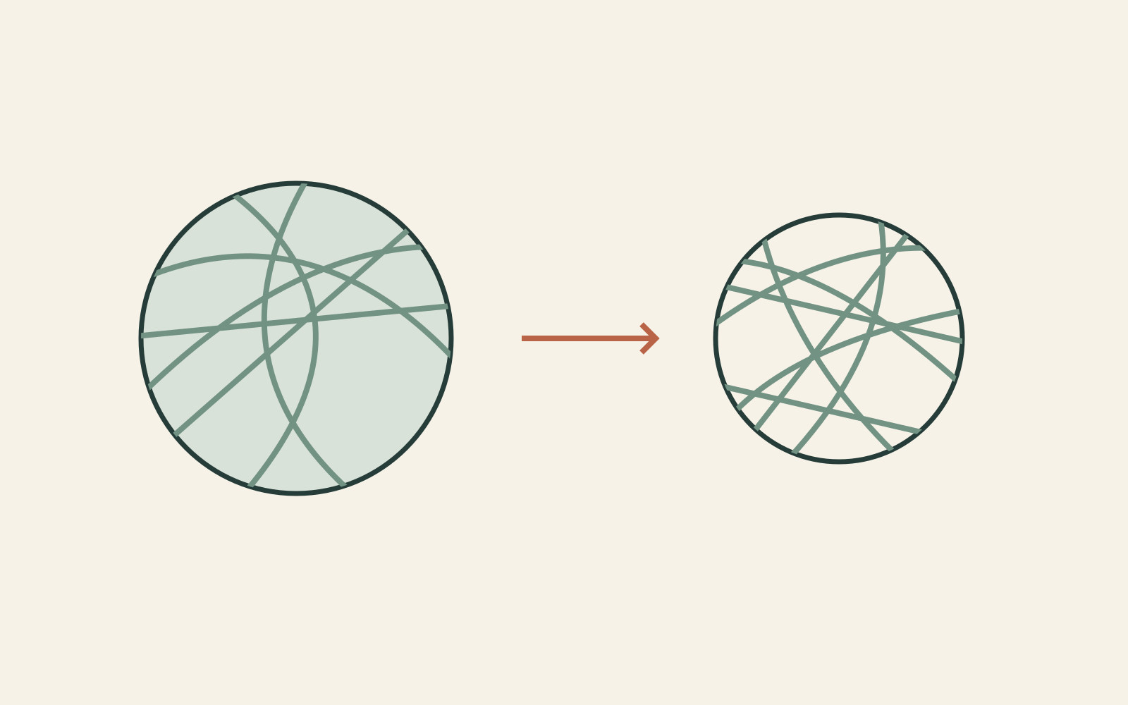 Two circles containing irregular green strands are linked by an arrow, contrasting a forming outline with the network that retains its shape.