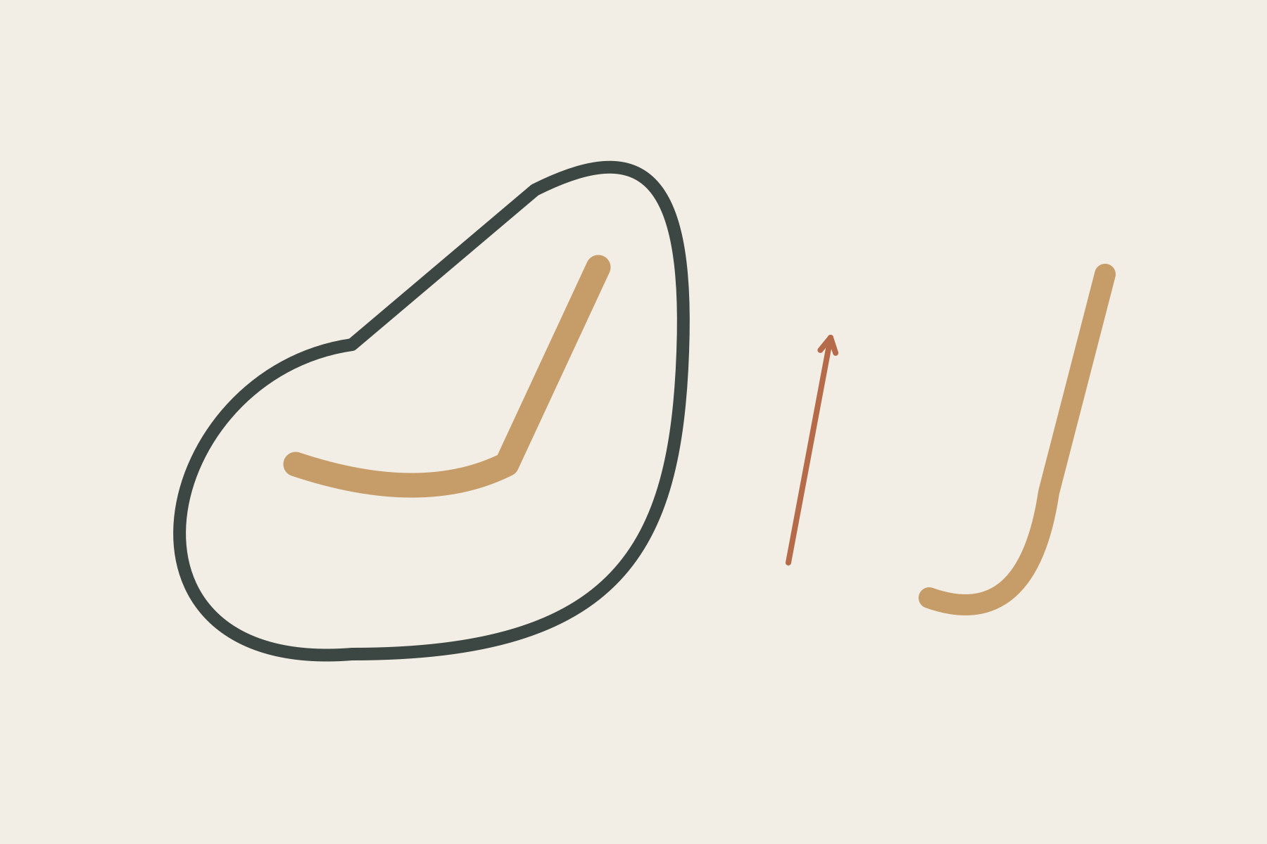 A large support loop surrounds a separate bent seating line, with a second isolated curve for comparison.