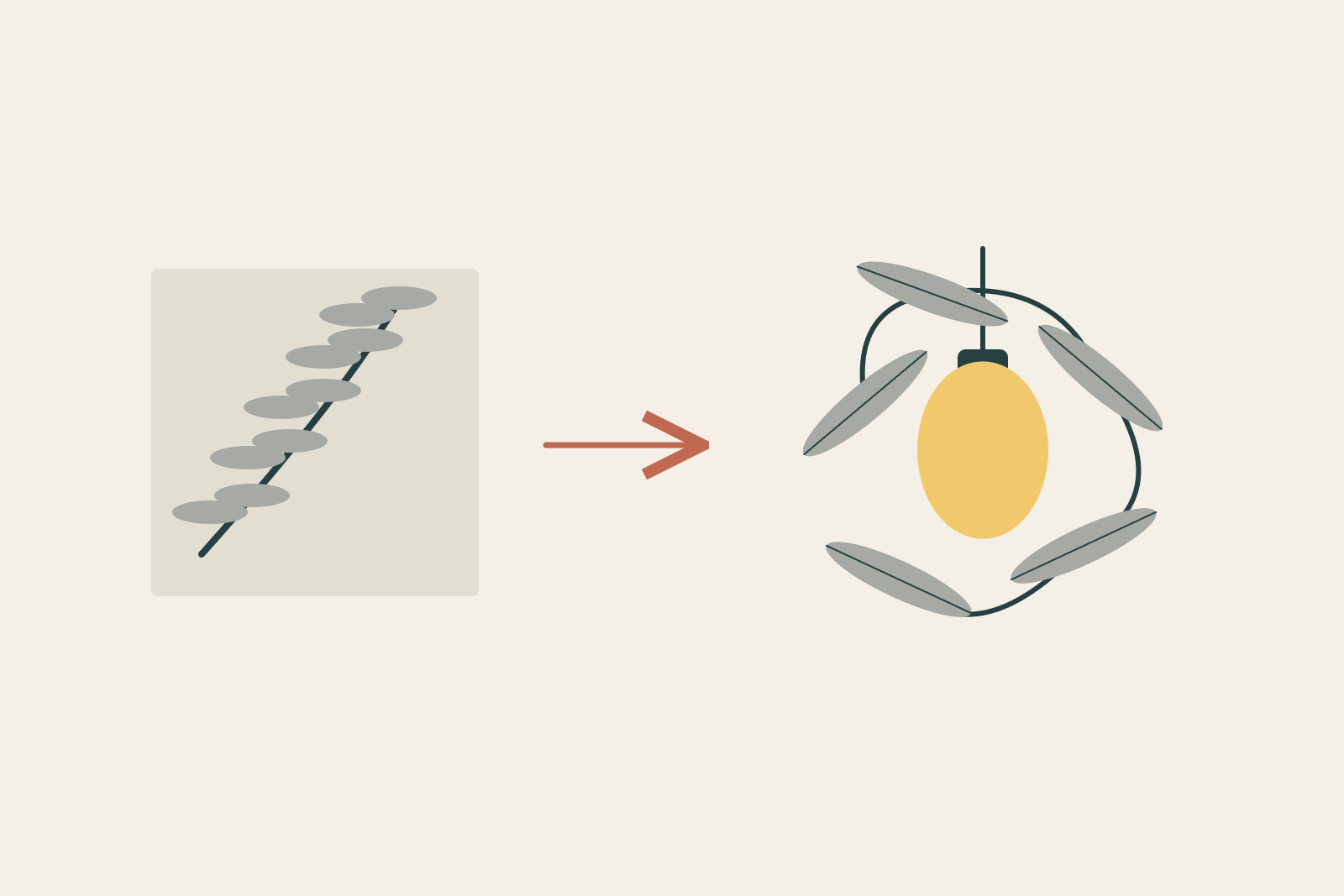 A flat original pattern and a connected garland around a bulb explain a change from sheet to open volume.