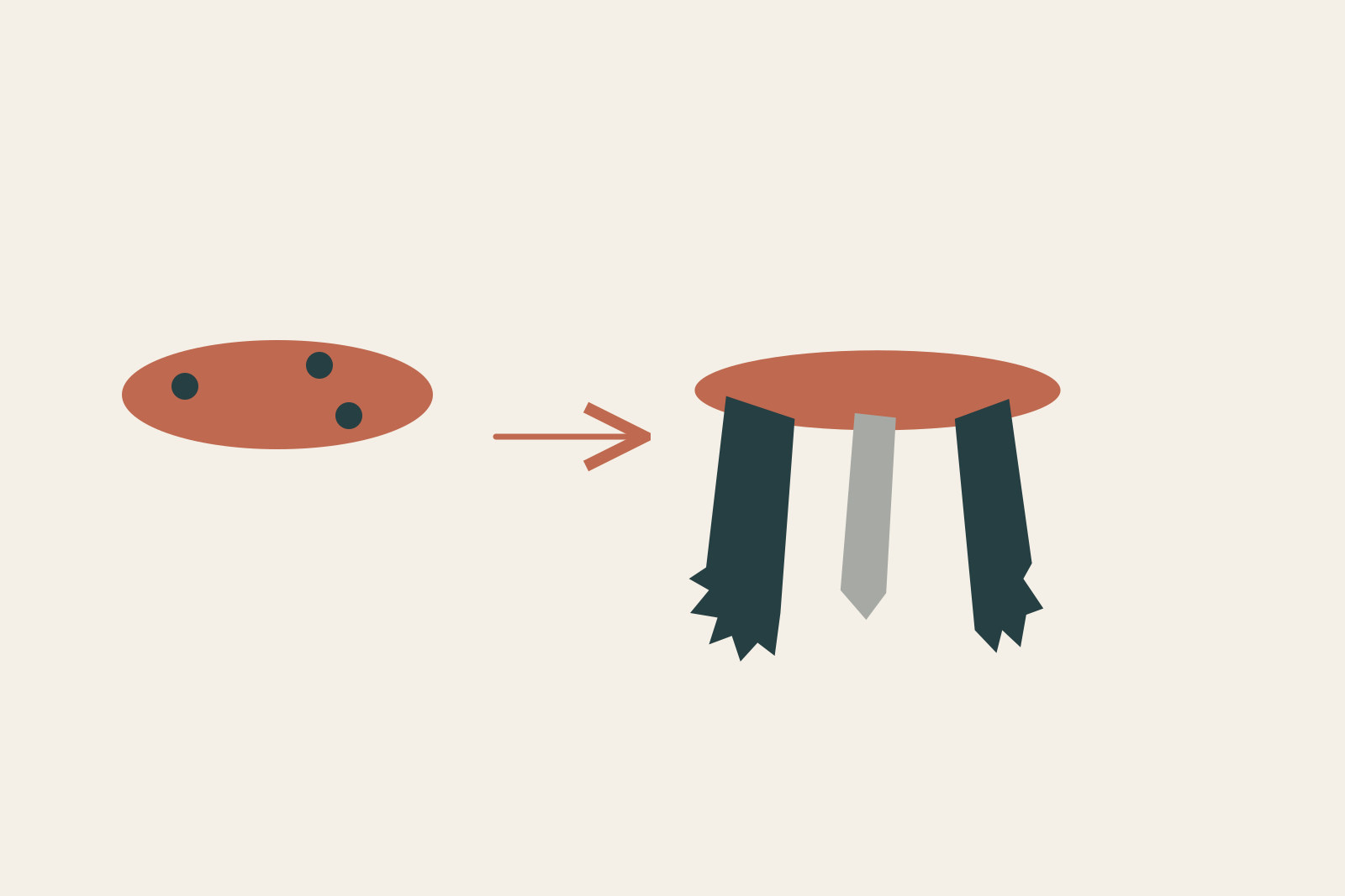 A selected seat outline and leg positions sit beside an illustrative variable-support form.