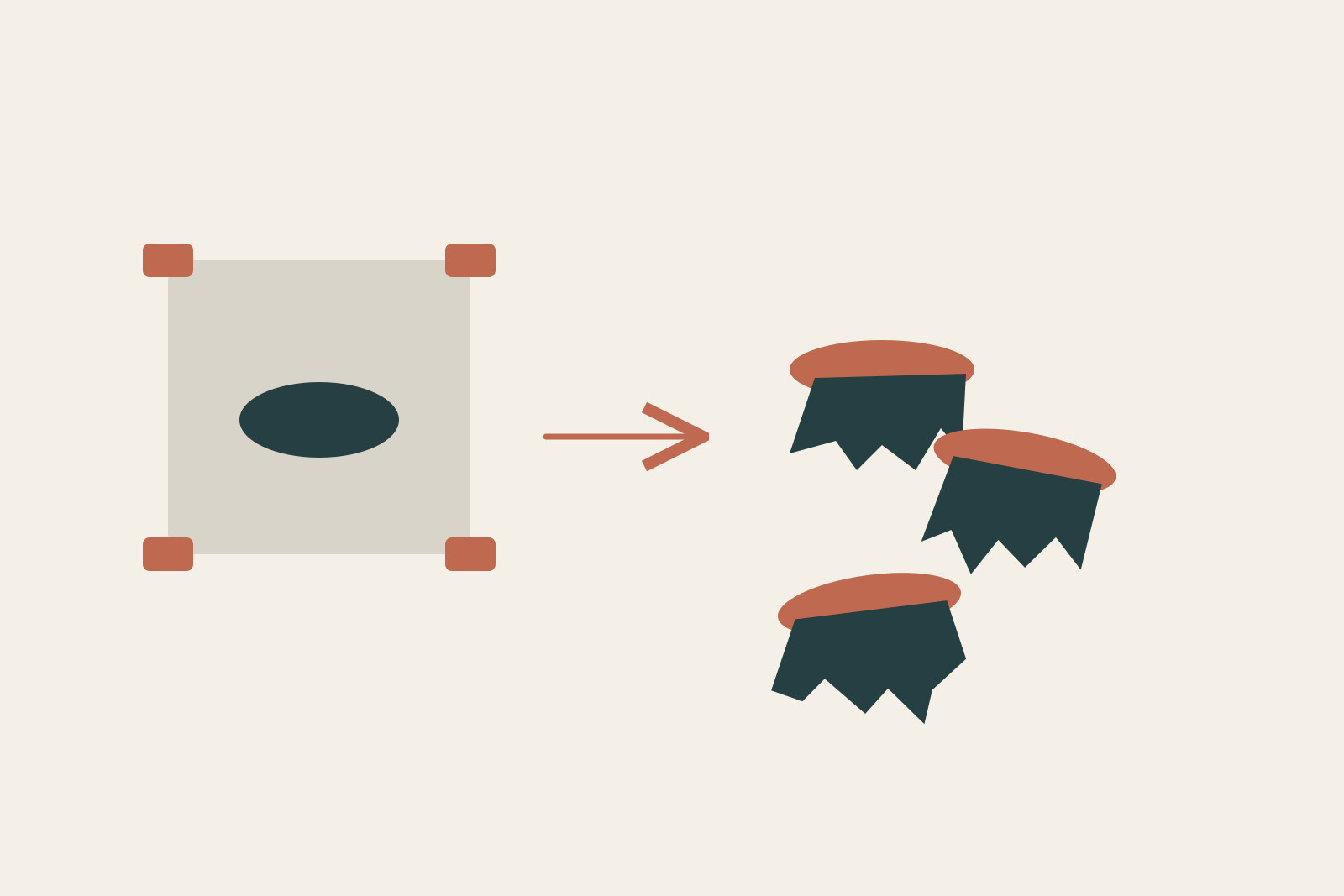Setting experimental conditions can produce related but variable forms.