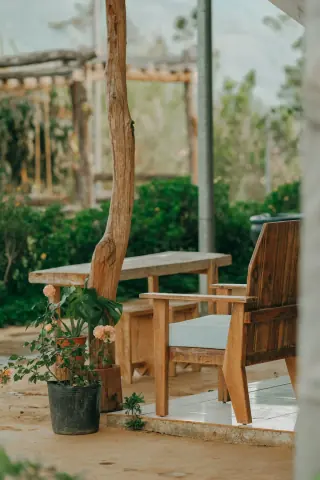 Wooden armchair with a slatted back beside potted plants against a pale wall.