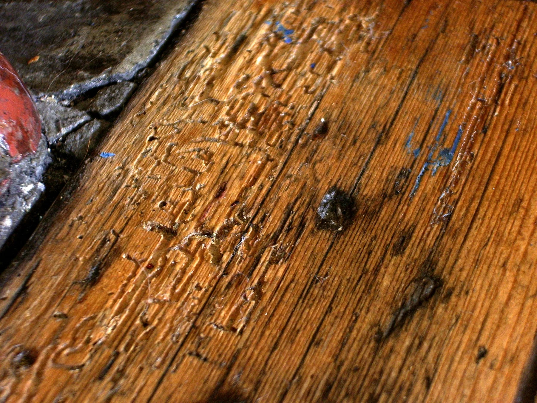 Close view of a wooden floorboard with small holes and exposed branching insect galleries beneath the surface.