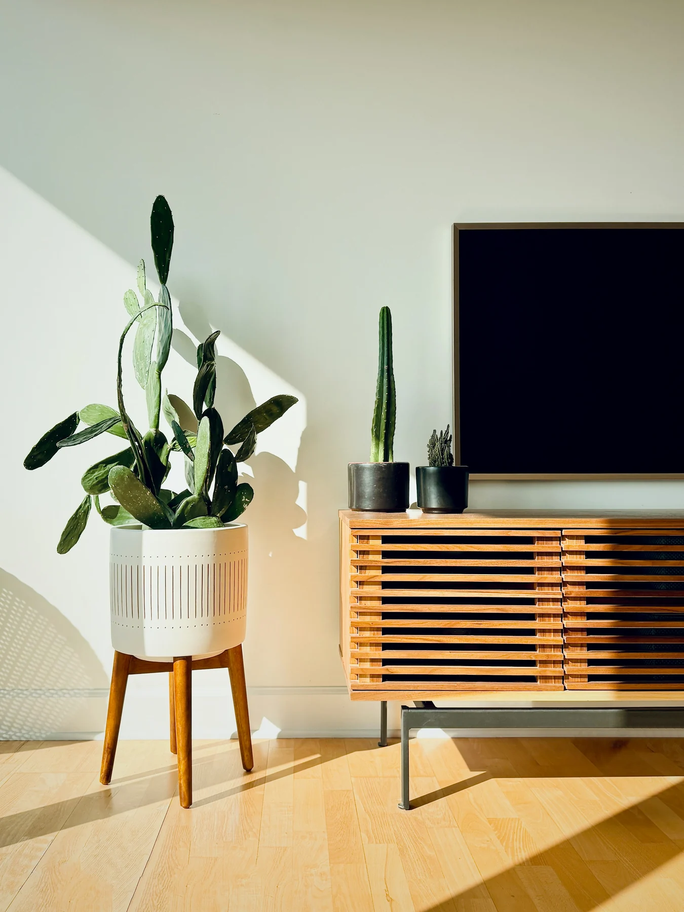 Partial view of a television above a slatted wooden cabinet beside houseplants in a sunlit room.