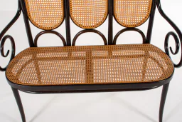 Thonet Model 207 Bentwood Bench with Cane, 1980s